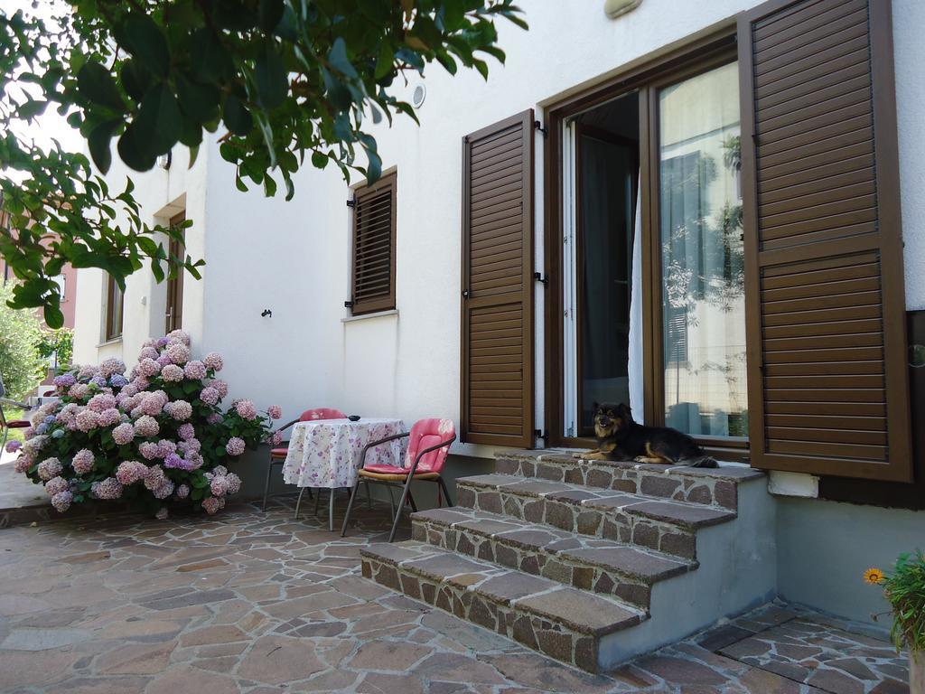 Apartments Mirela Novigrad Istria Exterior foto